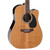 Takamine EF360SC TT Series Dreadnought Cutaway