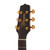 Takamine P5DC Pro Series Dreadnought - Whiskey Brown