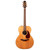Used Takamine EAN76 Natural 2003