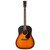 Martin DSS-17 Slope Shoulder Dreadnought - Whiskey Sunset