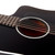Taylor 250ce Deluxe 12-String Acoustic Electric - Black