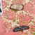 Used Fender Pink Paisley Telecaster MIJ 1995