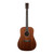 Martin D-10E Road Series Acoustic - Natural Sapele