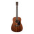 Martin D-10E Road Series Acoustic - Natural Sapele