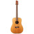 Used USA Tacoma DM9 Dreadnought Natural 1999