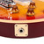Used Gibson Les Paul Standard Bass LPB-3 Cherry Sunburst 1999