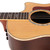 Used Taylor 814ce Grand Auditorium Natural 2010