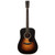 Eastman E10D-SB Dreadnought Acoustic - Sunburst