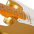 Fender Lincoln Brewster Stratocaster Maple in Aztec Gold - B Stock