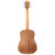 Taylor BT1e Baby Taylor 3/4 Size Acoustic Electric