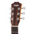 Taylor BT1e Baby Taylor 3/4 Size Acoustic Electric