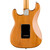 Fender American Professional II Stratocaster HSS Maple - Roasted Pine