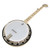 Deering Goodtime 2 5-String Banjo with Resonator