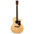 Used Martin GPCPA Mahogany Performing Artist Series Natural 2011