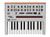 Korg Monologue Monophonic Analog Synthesizer - Silver