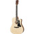 Gibson G-Writer EC Generation - Natural