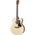 Gibson G-200 EC Generation - Natural