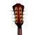 Used Weber Gallatin F-Style Mandolin Sunburst