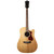 Guild D-260CE Deluxe Acoustic-Electric Guitar - Natural