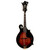 Used Washburn M6SWK Jethro Burns F-Style Mandolin Sunburst