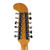 Vintage Fender Electric XII 12-String Sunburst 1966