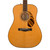 Fender Paramount PD-220E Dreadnought - Natural