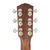 Fender Paramount PD-220E Dreadnought Mahogany - Aged Cognac Burst