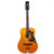 Vintage Matador TW-13 12-String 12th Fret Acoustic Dreadnought Guitar