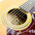 Vintage Matador TW-13 12-String 12th Fret Acoustic Dreadnought Guitar