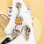 Vintage Fender Bullet S-3 Ivory 1983
