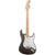 Fender Eric Clapton Stratocaster Maple - Pewter