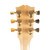 Used Gibson Howard Roberts Fusion Natural 2006