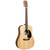 Martin D-X2E Dreadnought Acoustic Electric - Natural with Figured Koa