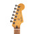 Fender Player Plus Stratocaster Pau Ferro - Sienna Sunburst