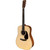 Eastman E20D Dreadnought - Natural