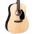 Martin D-13E Ziricote Dreadnought Acoustic-Electric - Natural