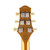 Used Robin Avalon Sport Metallic Gold 2008