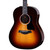 Taylor 50th Anniversary 217e-SB Plus Acoustic Electric - Vintage Sunburst