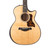 Taylor 50th Anniversary Builder's Edition 314ce Acoustic Electric - Natural