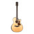 Taylor 50th Anniversary Builder's Edition 314ce Acoustic Electric - Natural