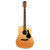 Used Alvarez Artist Series AD62SC Acoustic Electric Guitar