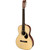Eastman E20OO Adirondack and Rosewood OO - Natural