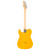 Fender Standard Telecaster Maple - Butterscotch Blonde