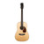 Used Larrivee SD-40-12 12-String Dreadnought Natural 2020
