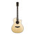 Taylor 914ce Legacy Grand Auditorium Engleman Spruce and Rosewood - Natural