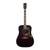 Gibson Hummingbird Standard - Purple Burst