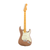 Fender American Professional Classic Stratocaster - Faded Firemist Gold