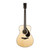 Used Yamaha FS9 MX Acoustic Electric - Natural