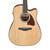 Ibanez AAD51CE Acoustic Electric - Natural