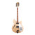 Used Rickenbacker 360/12 12-String Mapleglo 2002